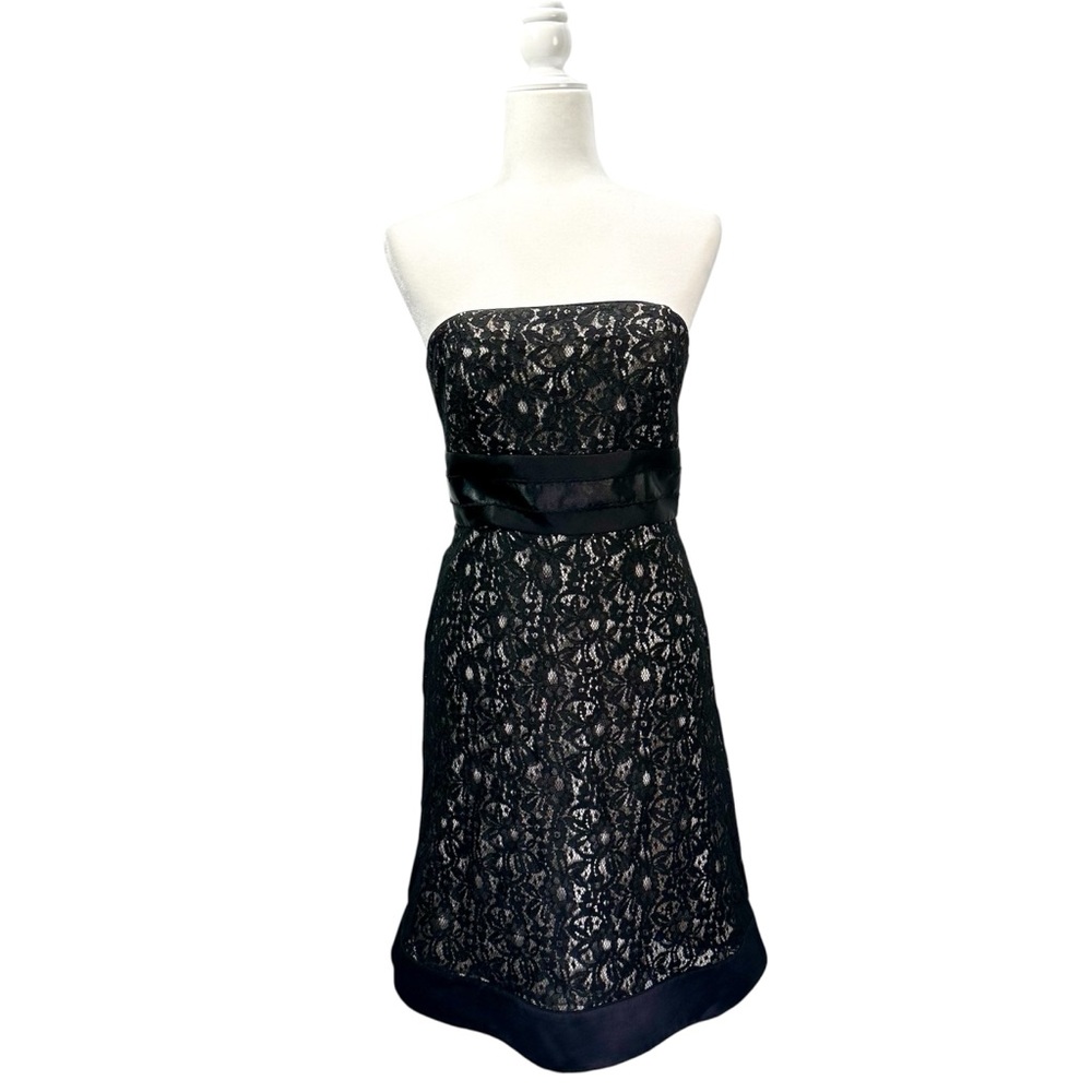 White House Black Market Lace Black and Cream Strapless Dress